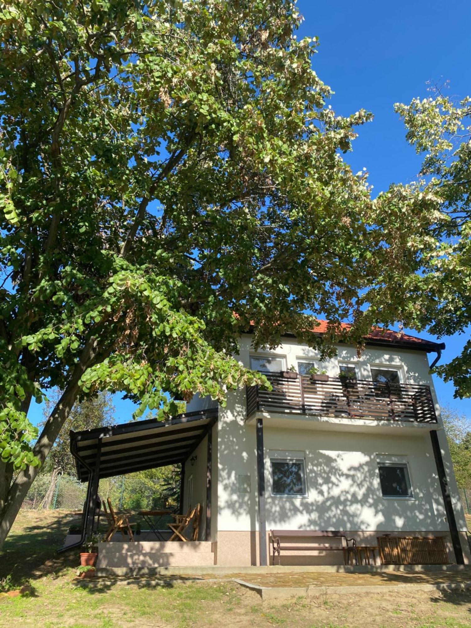 Vikendica Fruska Lipa Villa Cortanovci Exterior photo